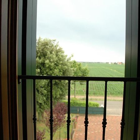 Terzo Bacino Bed and Breakfast San Michele al Tagliamento Eksteriør billede